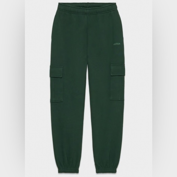 Aritzia TNA Cozy Fleece Mega Cargo Sweatpants - Picture 1 of 5